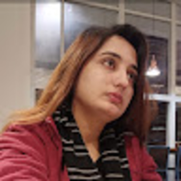 maryamamir239